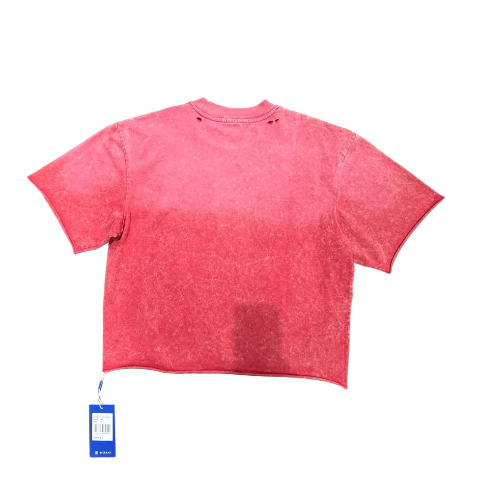 R3BEL "Born Broke Die" Cropped Tee