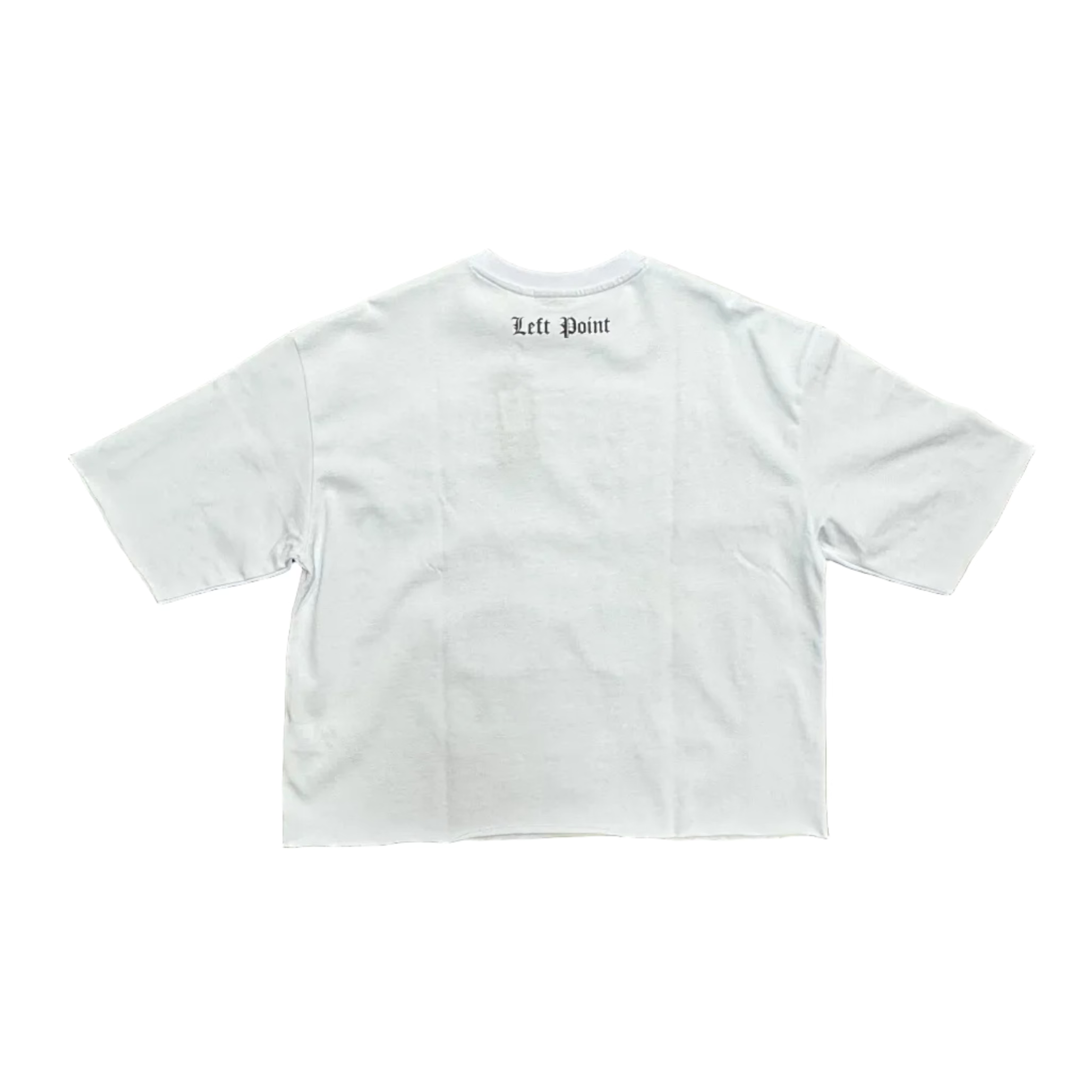 Left Point Saintstar Crop Tee