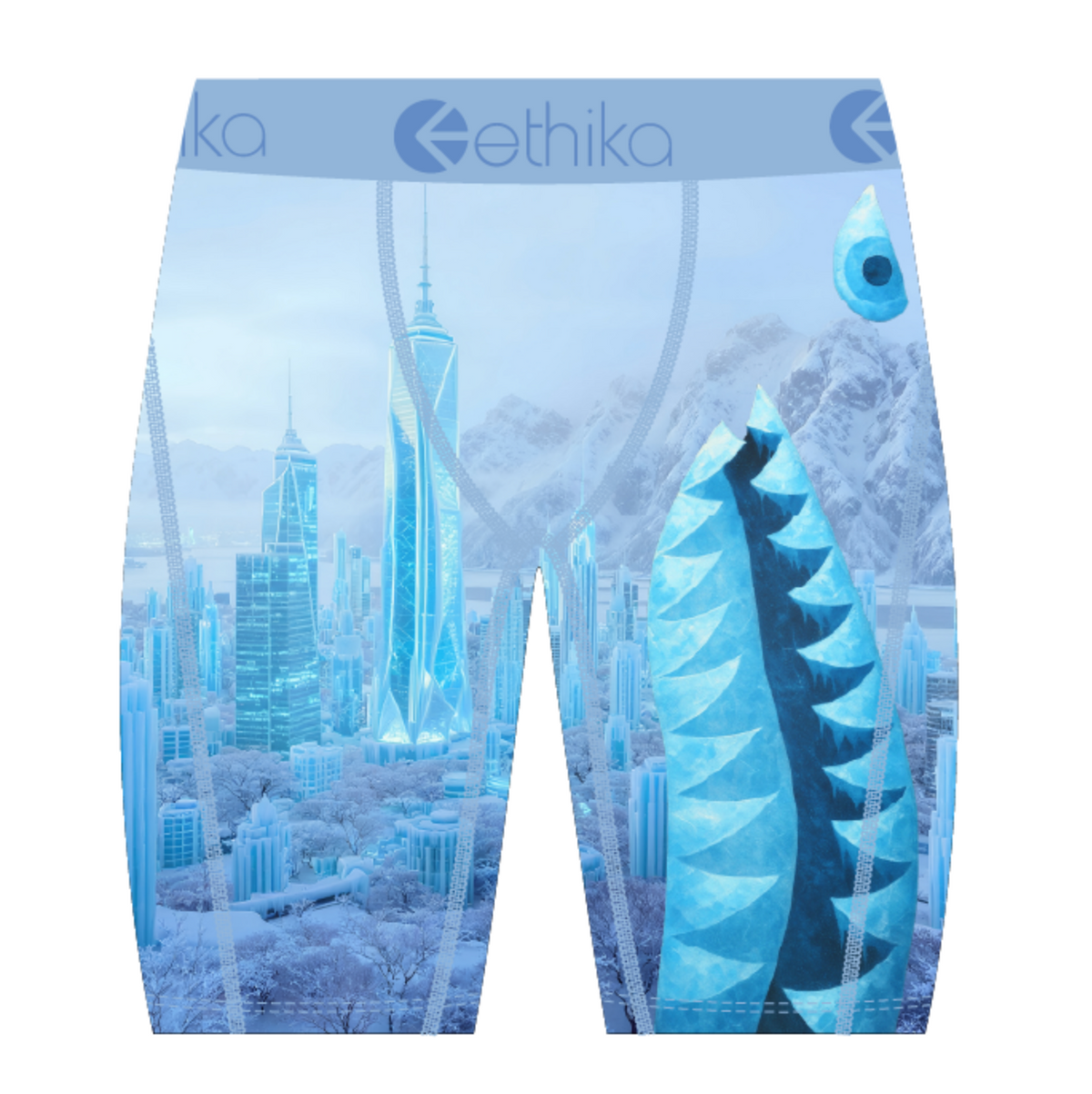 Ethika BMR City of Stillness Boxer Briefs