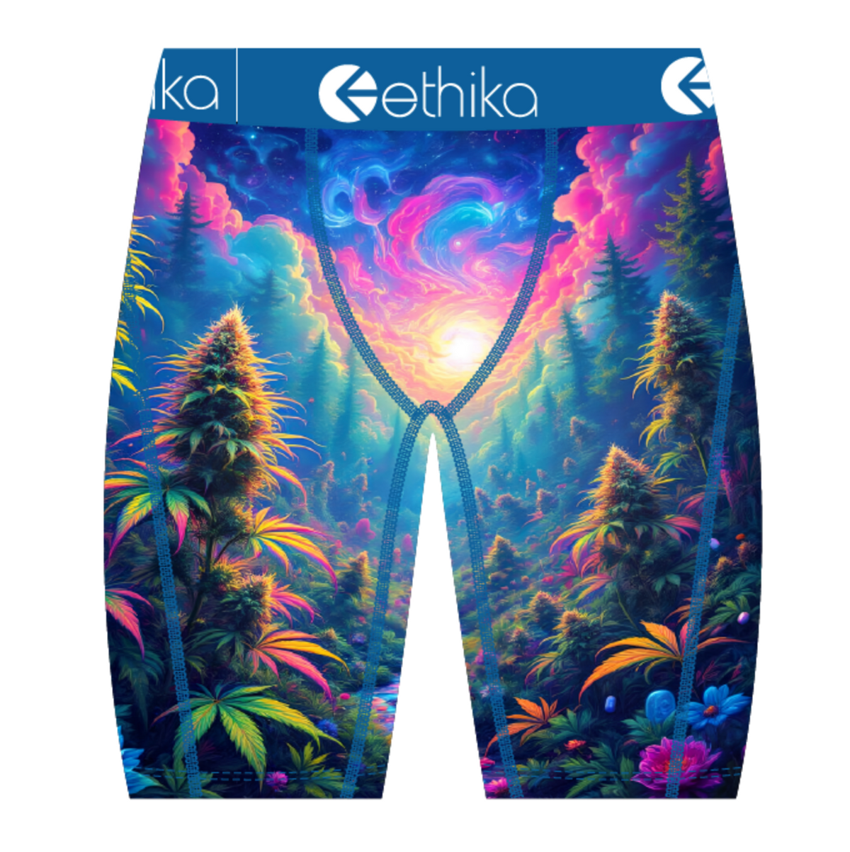 Ethika Indica Dreams Boxer Briefs